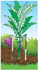 NAT6040319 Nature Plantensteun met boog H 80 x 40 x 22 cm Perfect bij plaatsing van volgroeide planten. Geeft steun aan de plant.
 Plantensteun met boog 40 x 80 cm